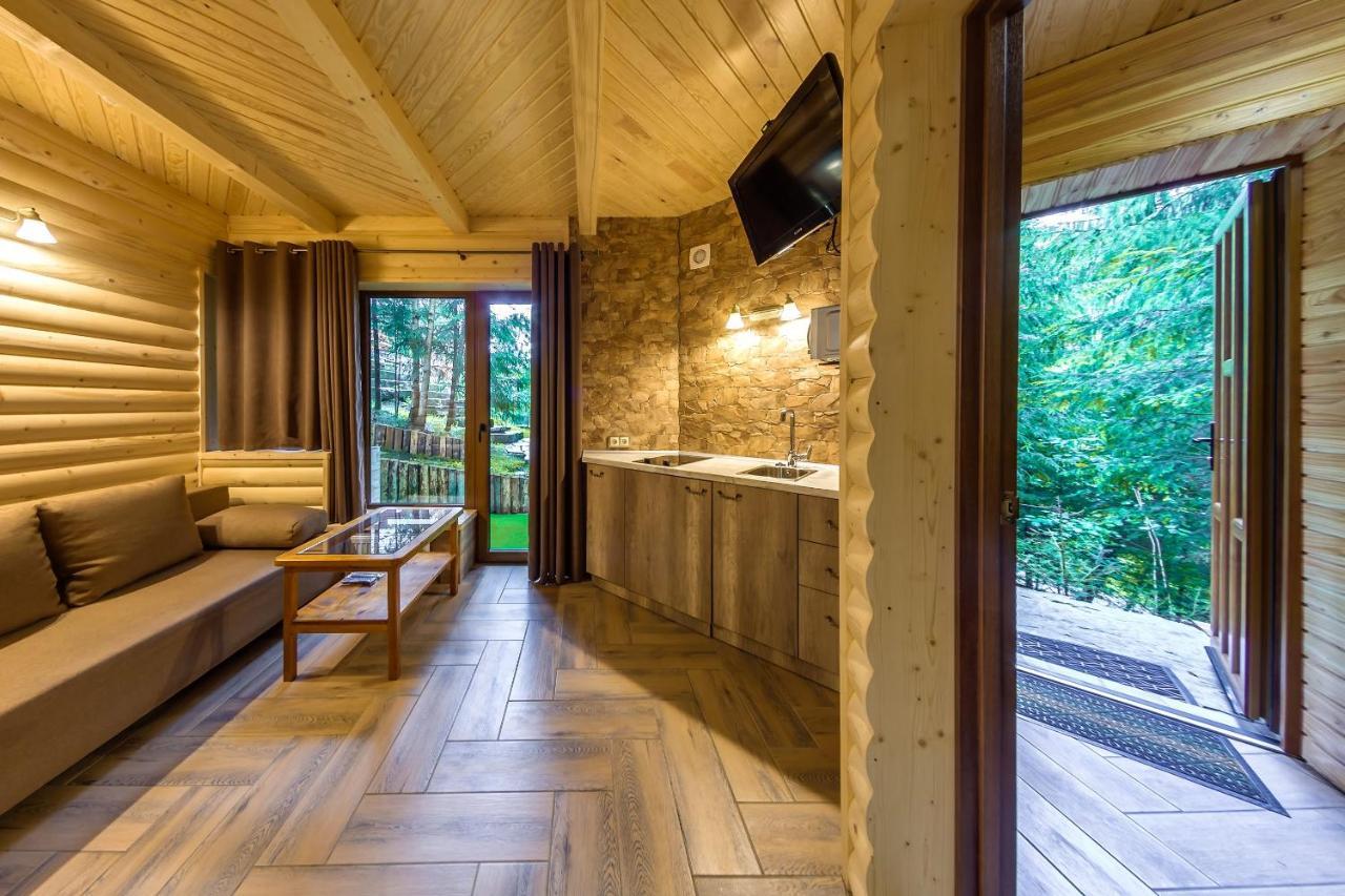 Karpatska Villa マイコリチン エクステリア 写真