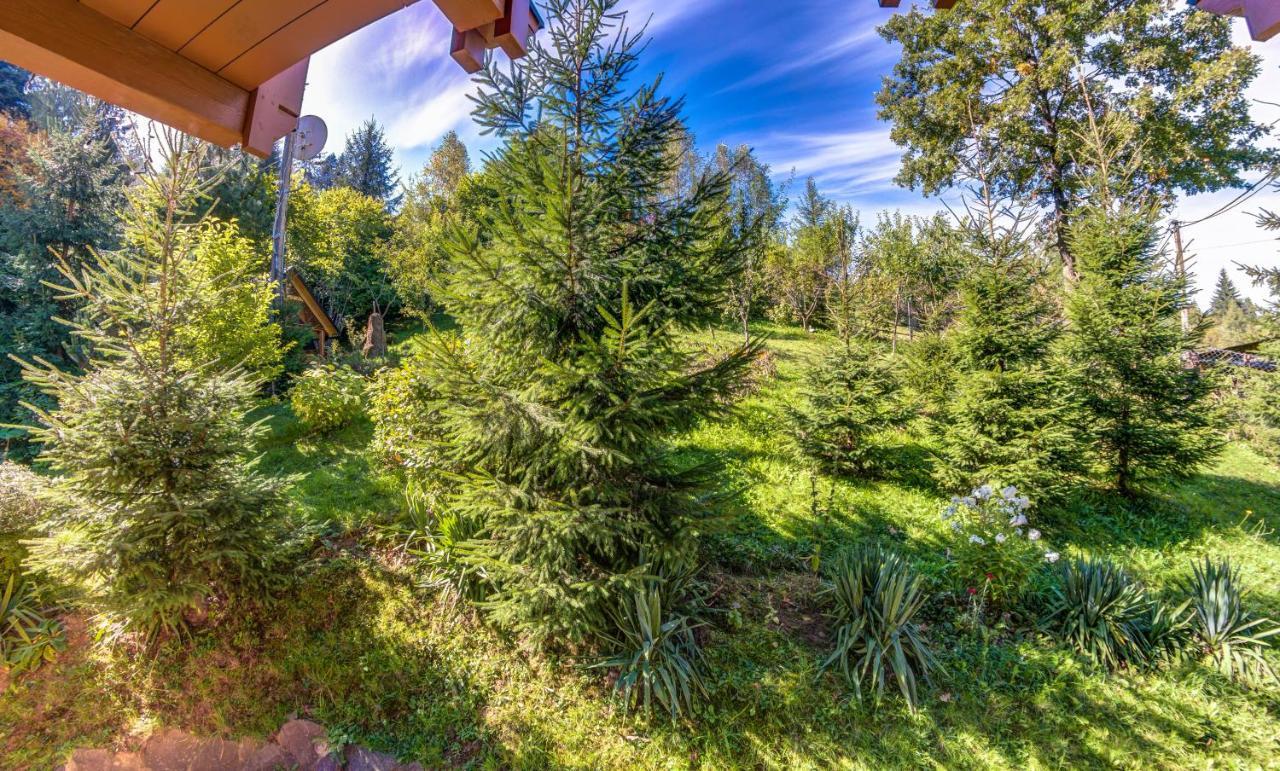 Karpatska Villa マイコリチン エクステリア 写真